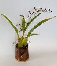 Load image into Gallery viewer, Palm Display Vessel - Free Shipping within U.S.