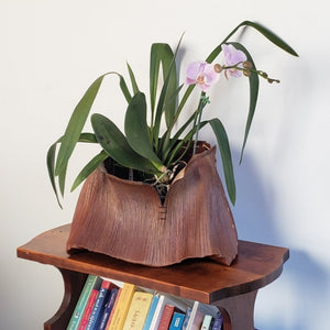 Zen Orchid Basket - Custom Order